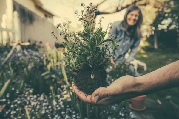 Quelle stratégie de contenu vidéo peut maximiser l'engagement pour une entreprise de jardinage durable ?